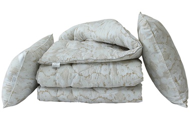 Комплект одеяло и 2 подушки 70х70 TAG лебяжий пух Цветы 145x215 см