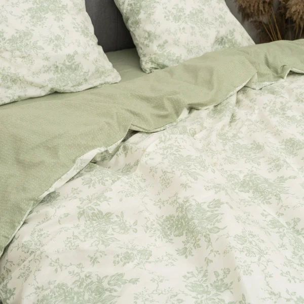 Постельное белье Вилюта Сатин Twill 741 двуспальный