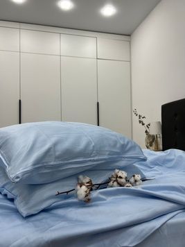 Постільна білизна Bedclozzzes сатин ніжно блакитний №41 сімейний