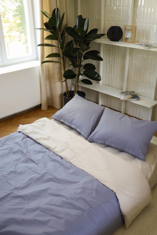 Постільна білизна Bedclozzzes ранфорс beige+gray (№7+56) євро