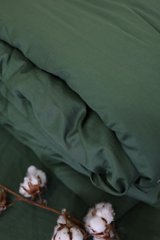 Постільна білизна Bedclozzzes сатин смарагдовий №54 сімейний