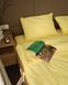 Постельное белье Bedclozzzes ранфорс лимонный №20 евро