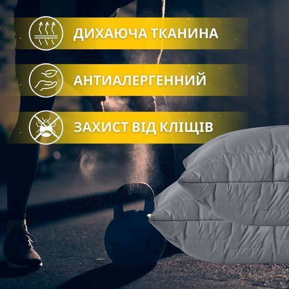 Набір IDEIA ManMaker 2 подушки 50х70 і ковдра 200х220 см
