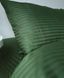 Постільна білизна Bedclozzzes страйп смарагдовий №18 євро