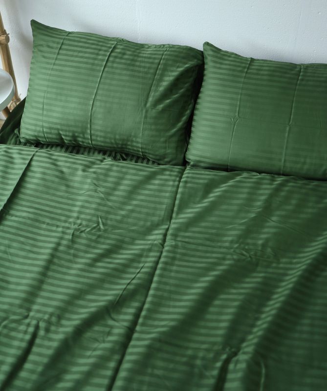 Постільна білизна Bedclozzzes страйп смарагдовий №18 євро