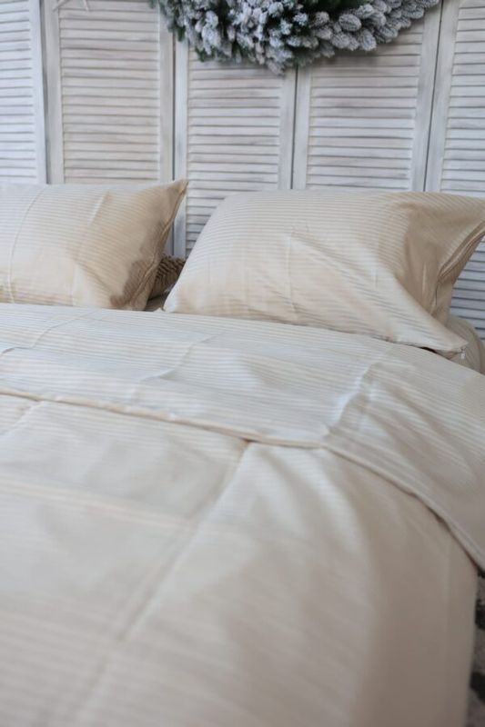 Постельное белье Bedclozzzes страйп сатин микро (0,5см) бежевый семейный