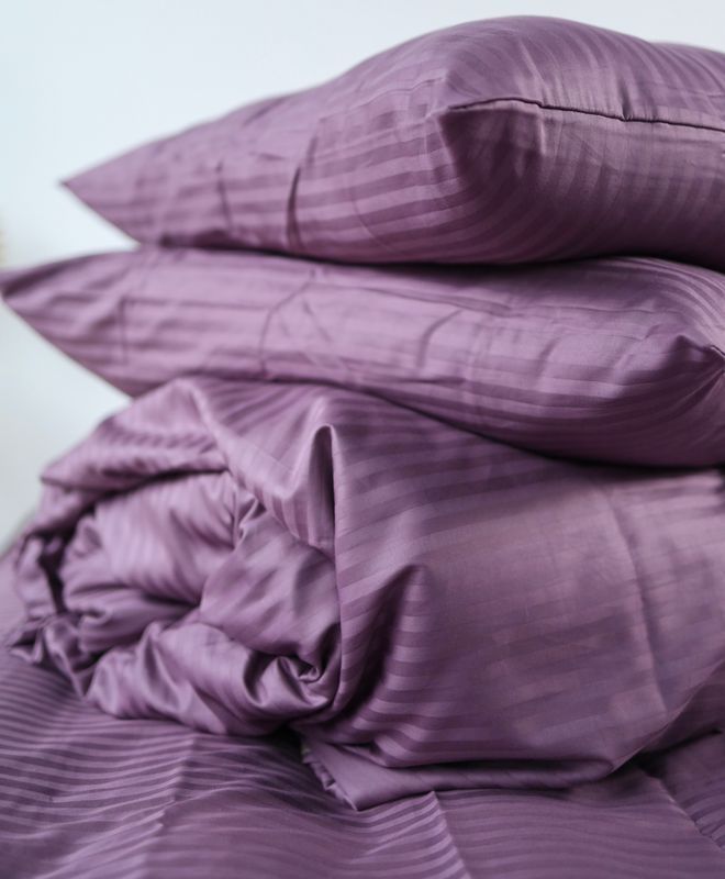 Постельное белье Bedclozzzes страйп сиреневый №6 евро