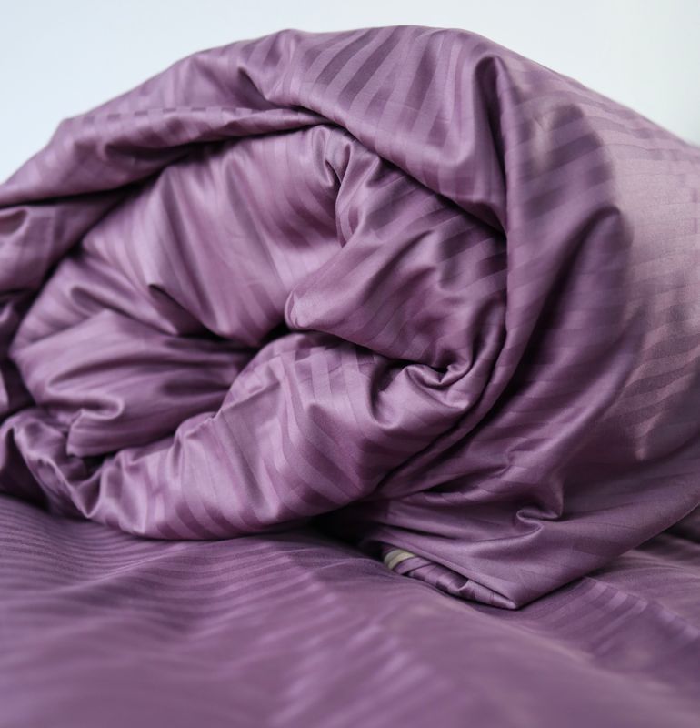 Постельное белье Bedclozzzes страйп сиреневый №6 евро