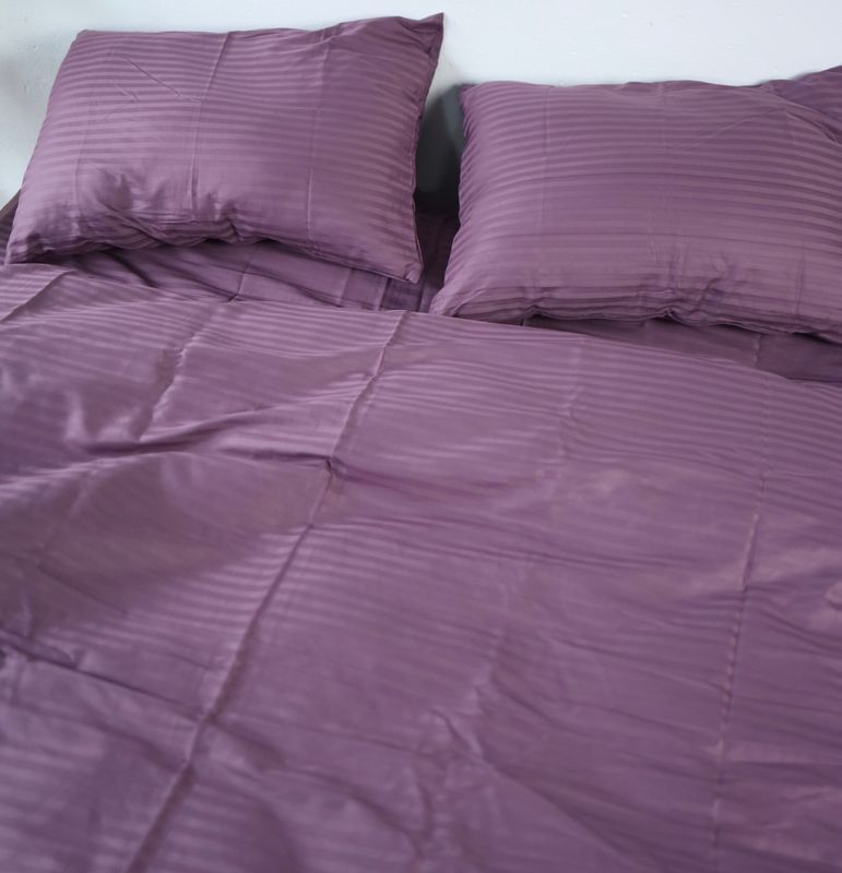 Постельное белье Bedclozzzes страйп сиреневый №6 евро