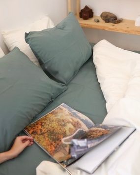 Постельное белье Bedclozzzes ранфорс эвкалипт+молочный (№104+2) евро