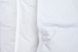 Одеяло пуховое Iglen Climate comfort 100% белый пух облегченное 200x220 см