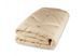 Одеяло ТЕП Dream Collection Wool 150x210 см