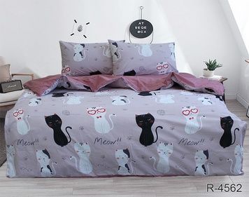 Постільна білизна TAG підліткова з компаньйоном R4562