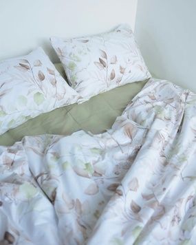 Постельное белье Bedclozzzes ранфорс Зеленый эвкалипт с оливковым однотонным (№6499+78) евро