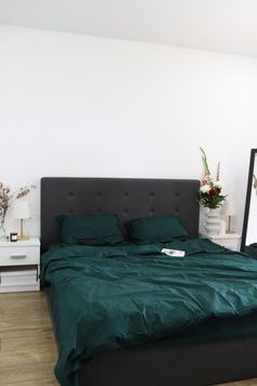 Постельное белье Bedclozzzes ранфорс Темно- зеленый №91 евро