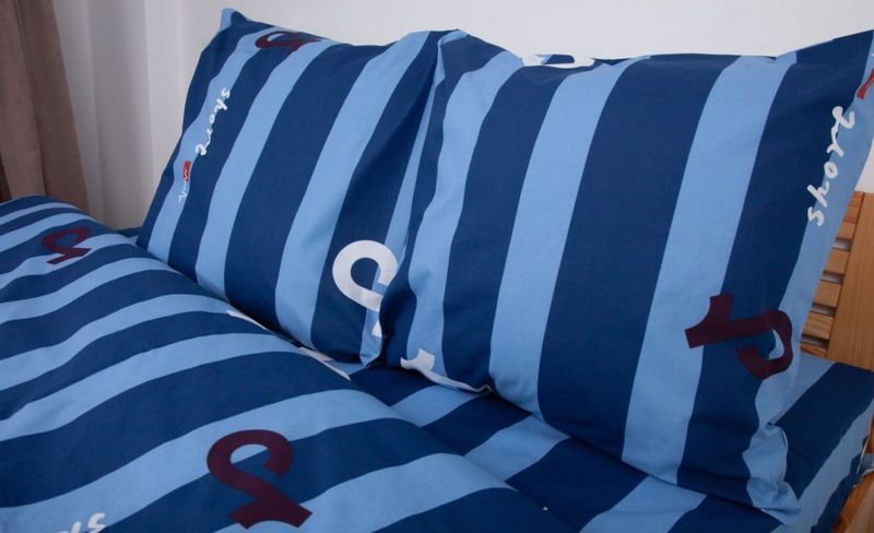 Постільна білизна ТЕП Soft dreams Line Blue євро