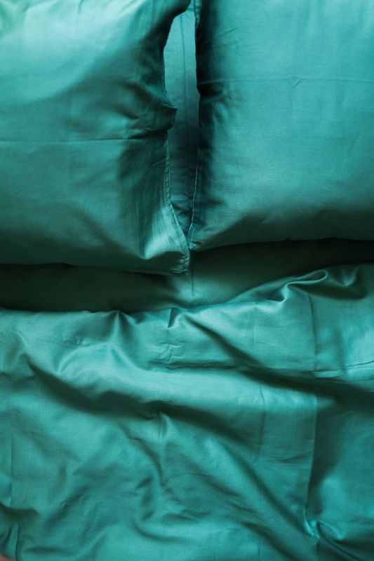 Постільна білизна Bedclozzzes сатин emarald №59 двоспальний