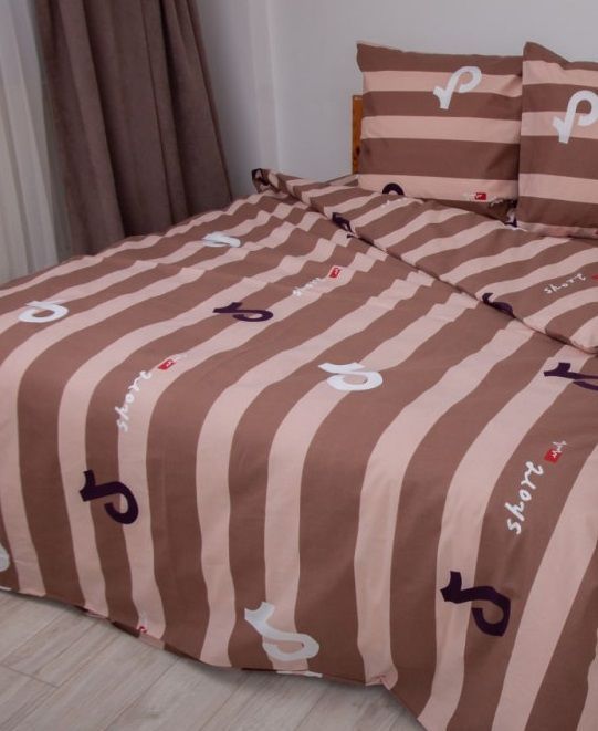 Постельное белье ТЕП Soft dreams Line Brown евро