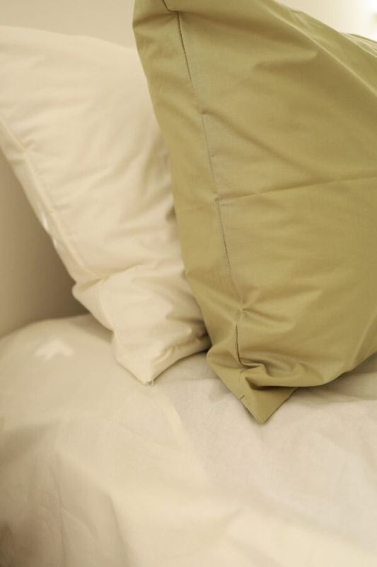 Постільна білизна Bedclozzzes ранфорс olive+milk (№78+2) двоспальний