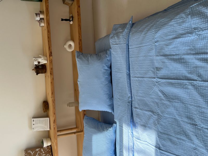 Постільна білизна Bedclozzzes жата бавовна блакитна сімейний