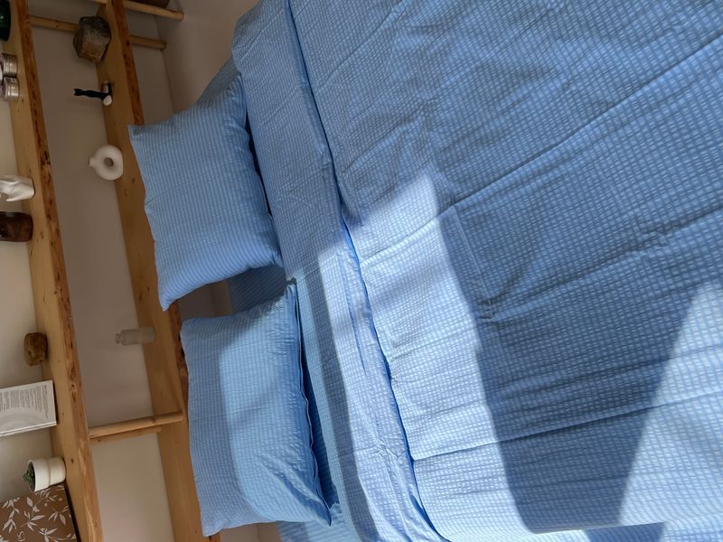 Постільна білизна Bedclozzzes жата бавовна блакитна сімейний